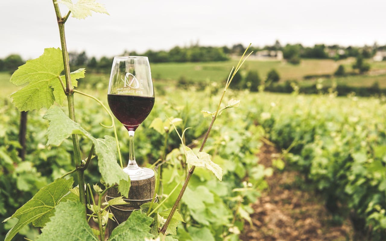 Cover Image for IoT: A New Era for the Wine Supply Chain