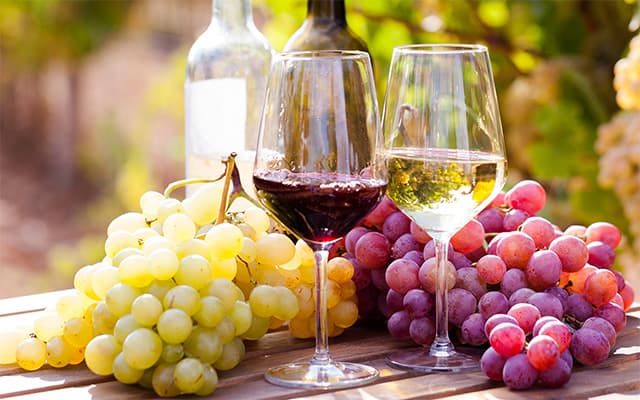 Cover Image for The Noble Grapes: The Cornerstones of Winemaking